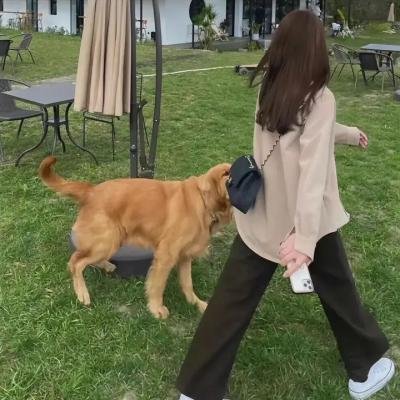 权欲第三章第三季